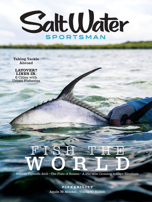 Cover image for Salt Water Sportsman
